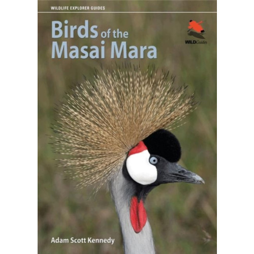 Princeton University Press Birds of the Masai Mara (häftad, eng)