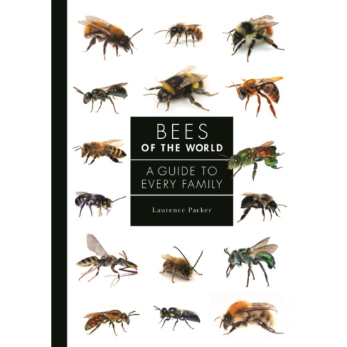 Princeton University Press Bees of the World (inbunden, eng)