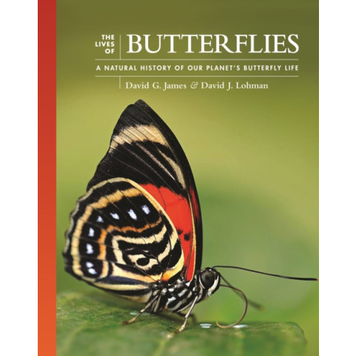 Princeton University Press The Lives of Butterflies (inbunden, eng)