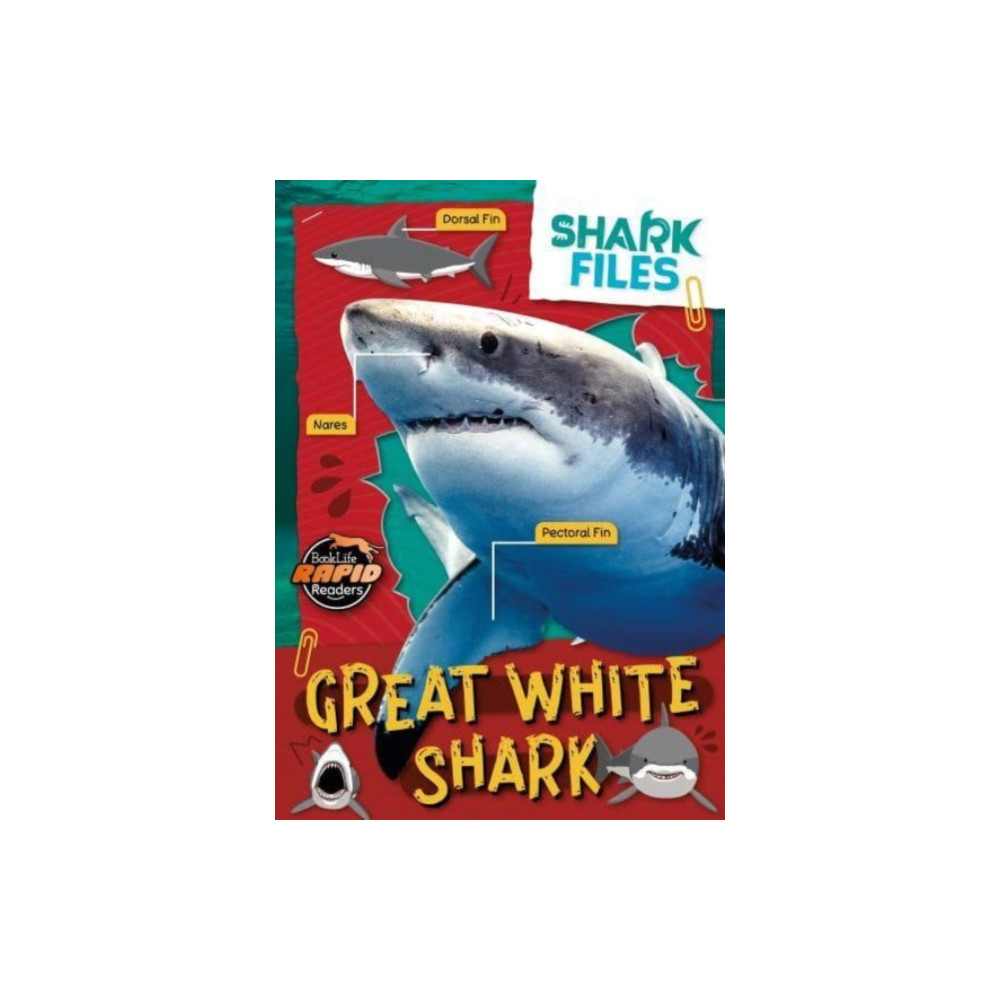 Produktbild för Great White Shark (häftad, eng)