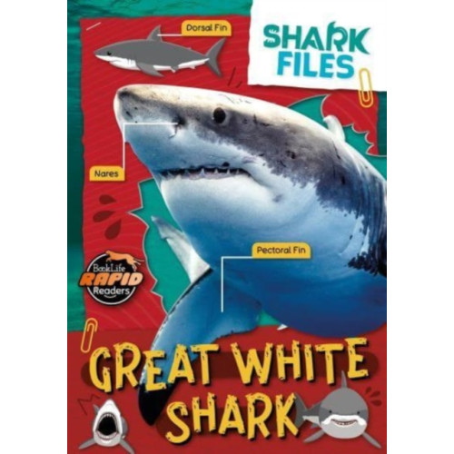 BookLife Publishing Great White Shark (häftad, eng)