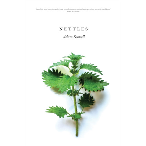 Influx Press Nettles (häftad, eng)