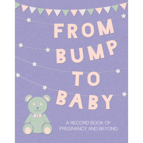 Ryland, Peters & Small Ltd From Bump to Baby (inbunden, eng)