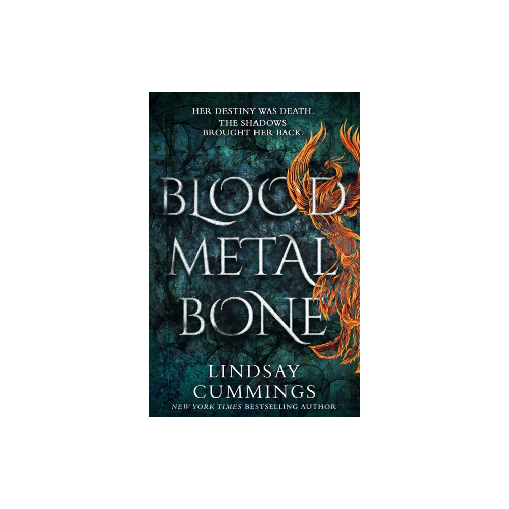 Produktbild för Blood Metal Bone (häftad, eng)