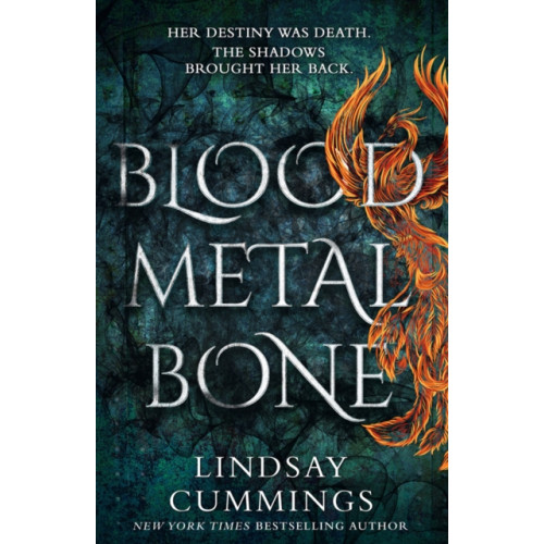 HarperCollins Publishers Blood Metal Bone (häftad, eng)