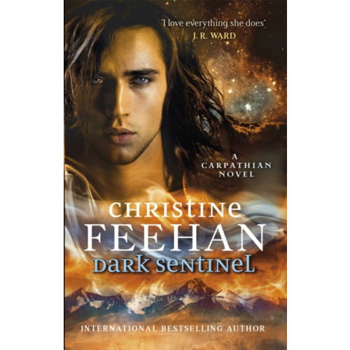 Little, Brown Book Group Dark Sentinel (häftad, eng)