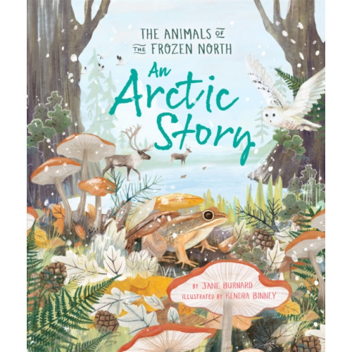 Pan Macmillan An Arctic Story (häftad, eng)
