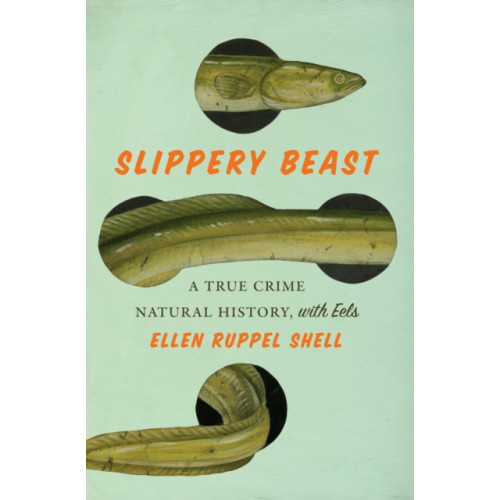 Abrams Slippery Beast (inbunden, eng)