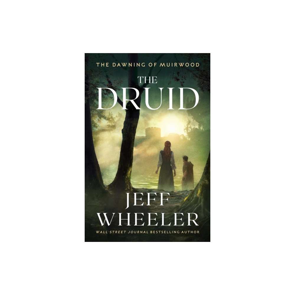 Produktbild för The Druid (häftad, eng)