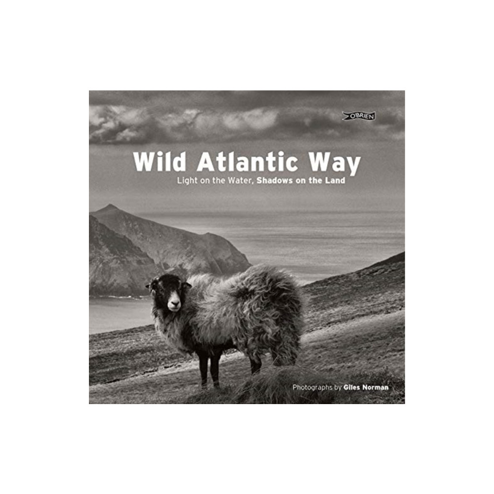 Produktbild för Wild Atlantic Way (inbunden, eng)