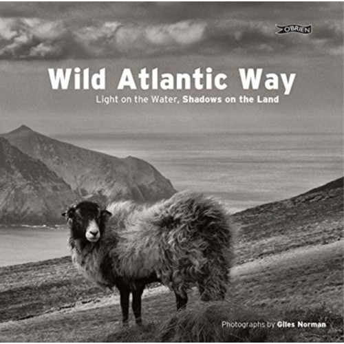 O'Brien Press Ltd Wild Atlantic Way (inbunden, eng)