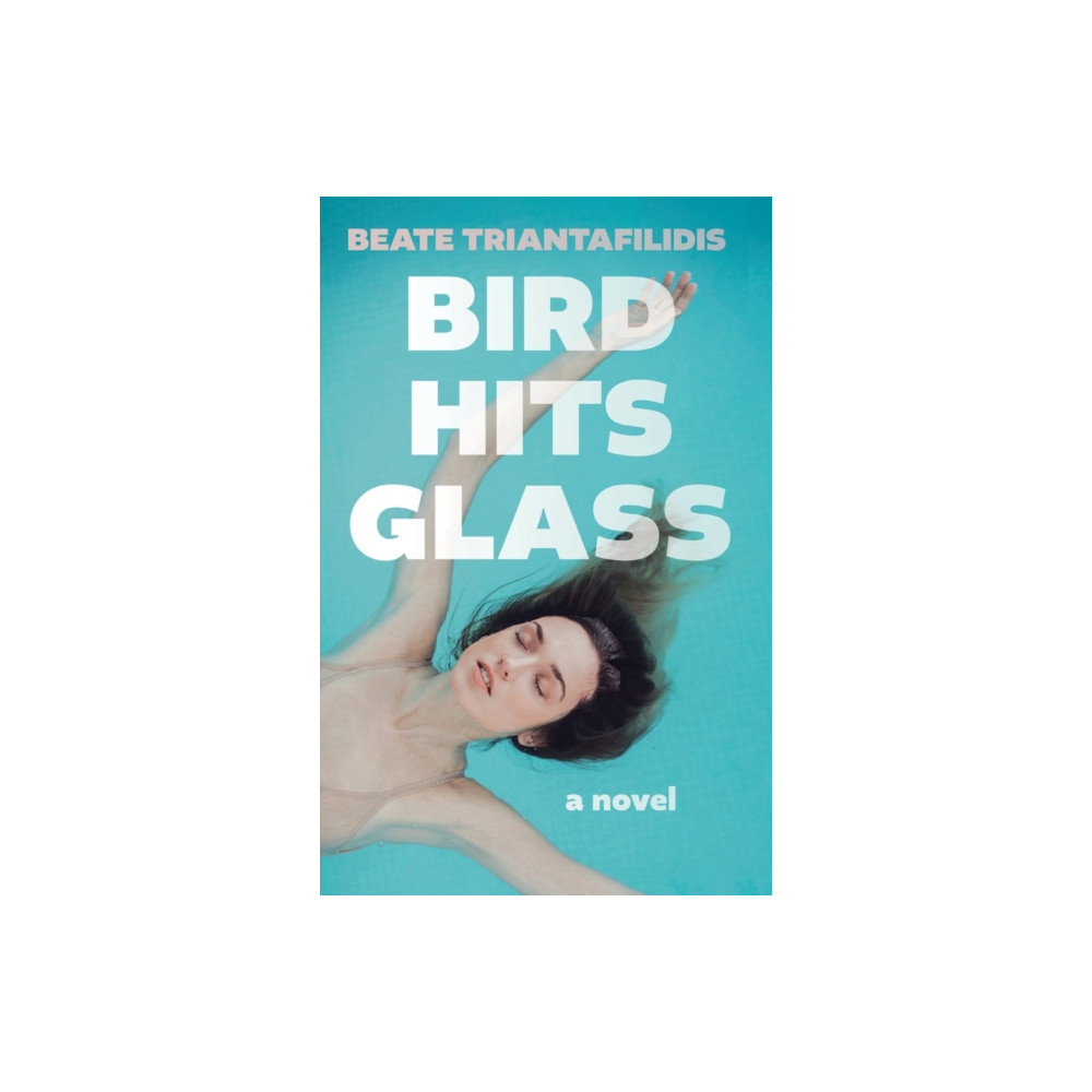 Produktbild för Bird Hits Glass (häftad, eng)