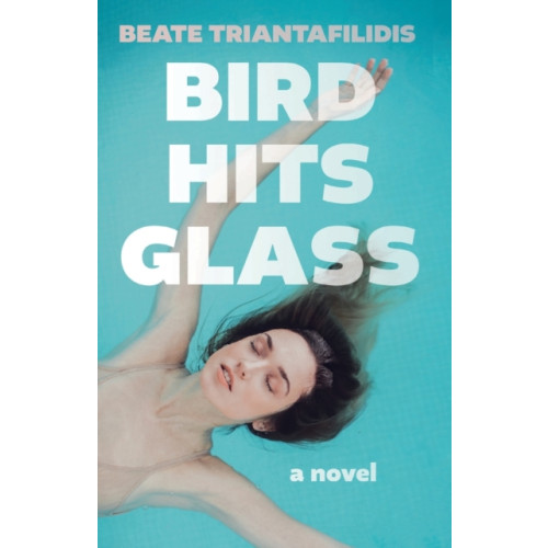 Troubador Publishing Bird Hits Glass (häftad, eng)