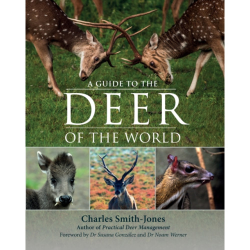 Quiller Publishing Ltd A Guide to the Deer of the World (inbunden, eng)