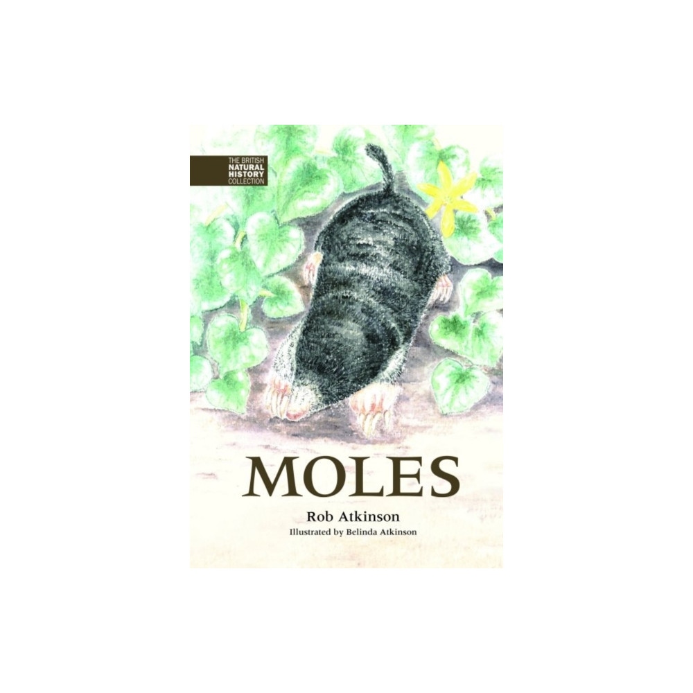 Produktbild för Moles (inbunden, eng)
