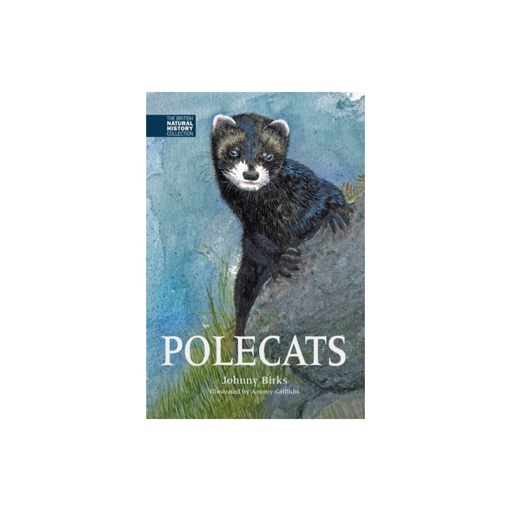 Produktbild för Polecats (inbunden, eng)