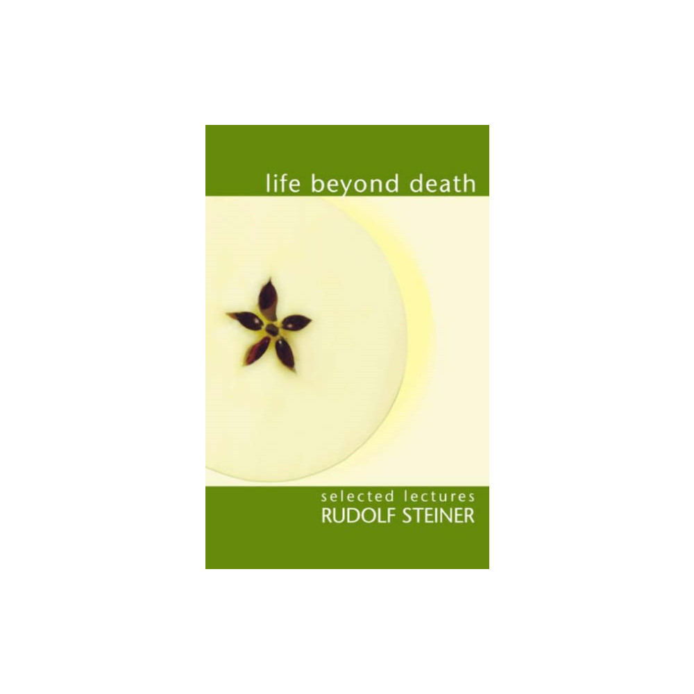 Produktbild för Life Beyond Death (häftad, eng)