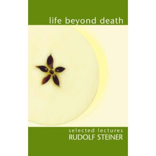 Rudolf Steiner Press Life Beyond Death (häftad, eng)