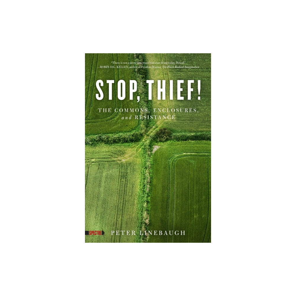 Produktbild för Stop, Thief! (häftad, eng)