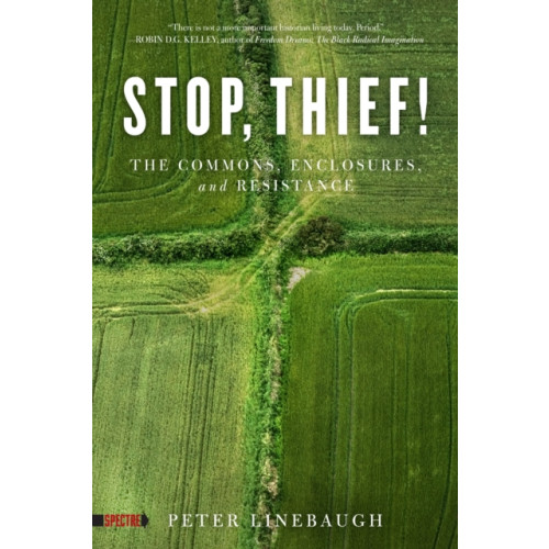 PM Press Stop, Thief! (häftad, eng)