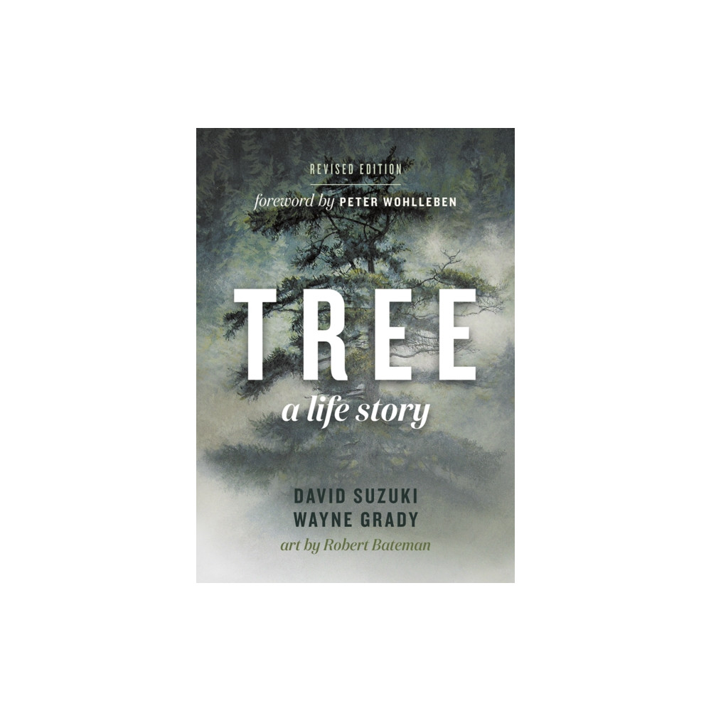 Produktbild för Tree (häftad, eng)