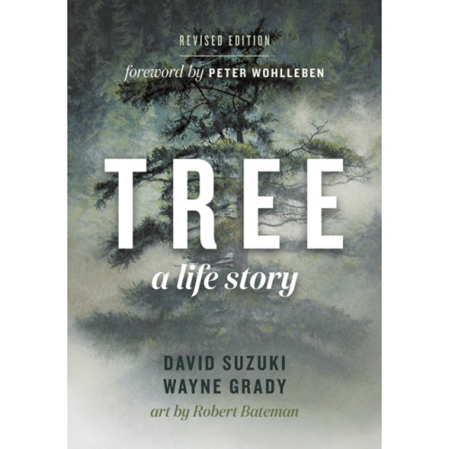 Greystone Books,Canada Tree (häftad, eng)