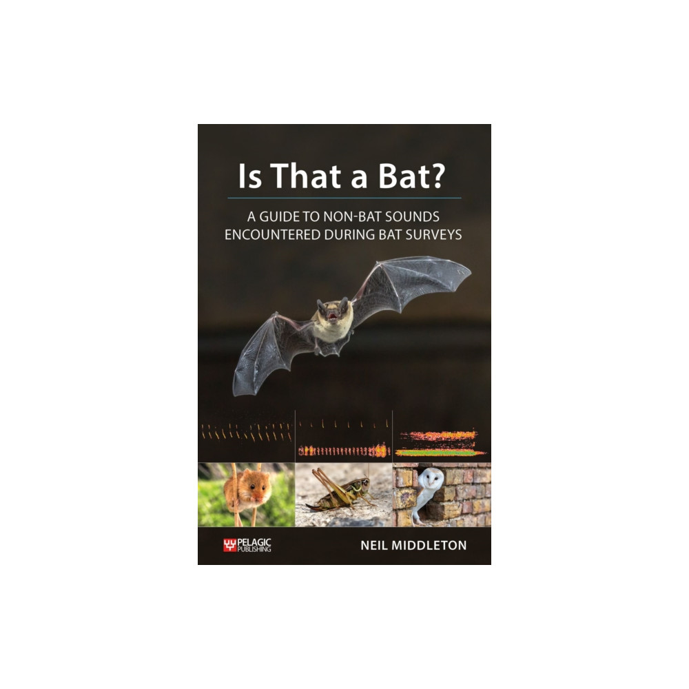 Produktbild för Is That a Bat? (häftad, eng)