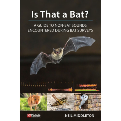 Pelagic Publishing Is That a Bat? (häftad, eng)