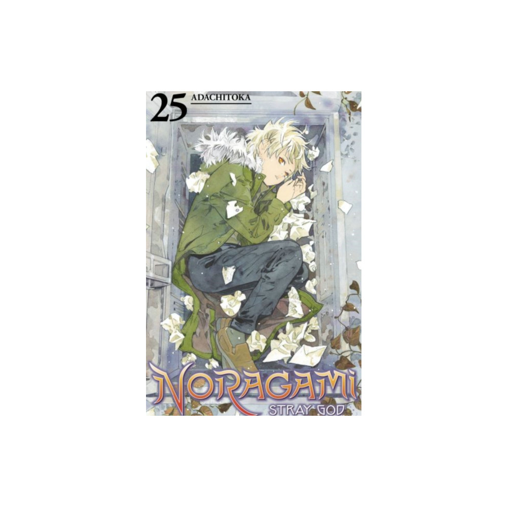Produktbild för Noragami: Stray God 25 (häftad, eng)