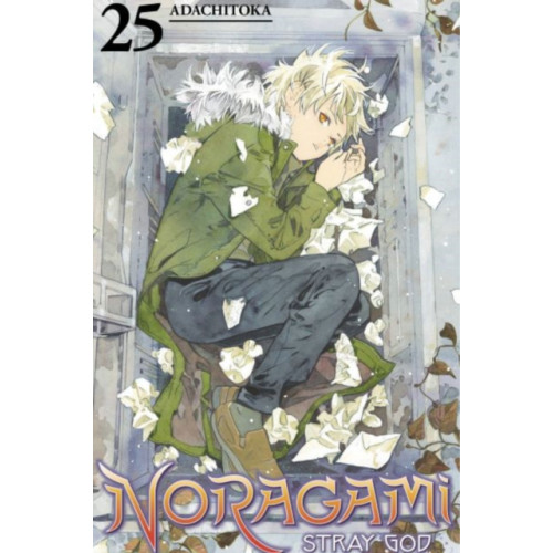 Kodansha America, Inc Noragami: Stray God 25 (häftad, eng)