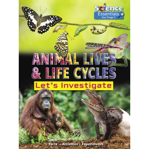 Ruby Tuesday Books Ltd Animal Lives and Life Cycles (häftad, eng)