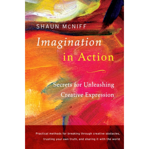 Shambhala Publications Inc Imagination in Action (häftad, eng)