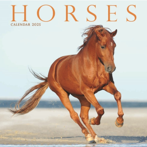 Avonside Publishing Ltd Horses Square Mini Calendar 2025 (häftad, eng)