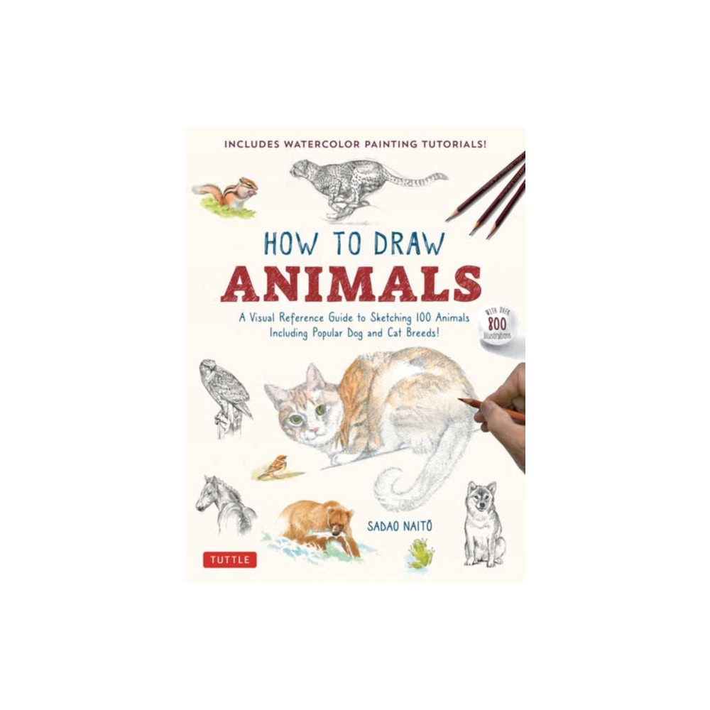 Produktbild för How to Draw Animals (häftad, eng)