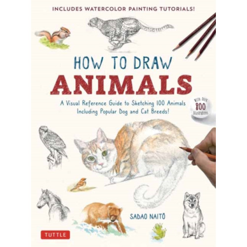 Tuttle Publishing How to Draw Animals (häftad, eng)