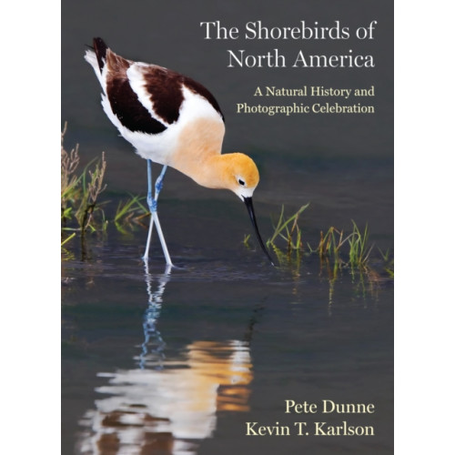 Princeton University Press The Shorebirds of North America (inbunden, eng)