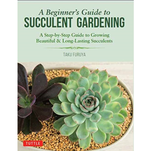 Tuttle Publishing A Beginner's Guide to Succulent Gardening (häftad, eng)