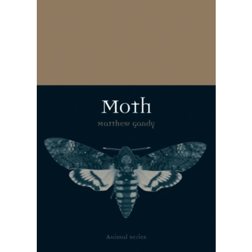 Reaktion Books Moth (häftad, eng)