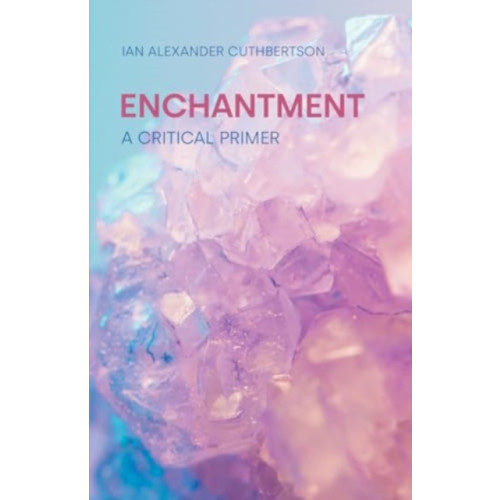 Equinox Publishing Ltd Enchantment (häftad, eng)