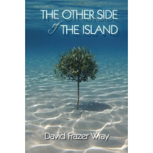 Sparsile Books Ltd The Other Side Of The Island (häftad, eng)