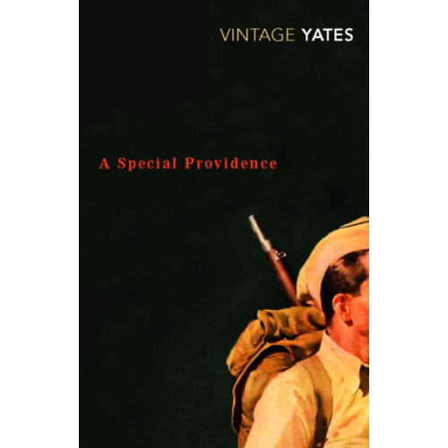 Vintage Publishing A Special Providence (häftad, eng)