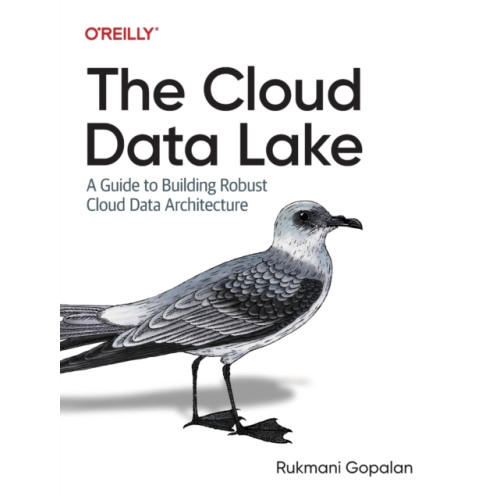 O'Reilly Media The Cloud Data Lake (häftad, eng)