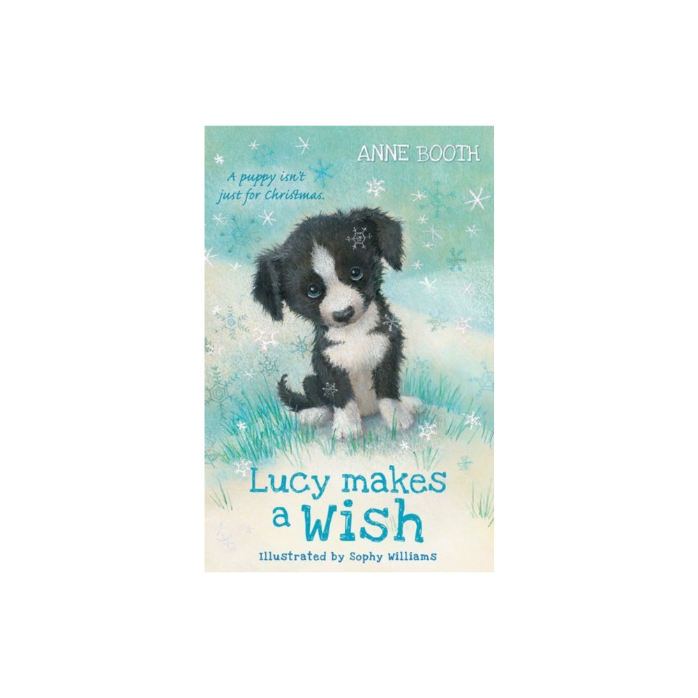Produktbild för Lucy Makes a Wish (häftad, eng)