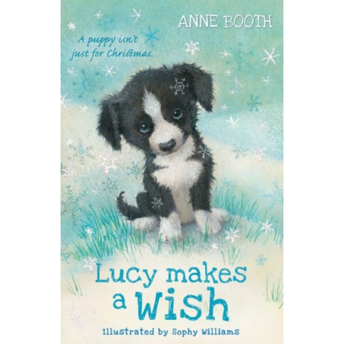 Oxford University Press Lucy Makes a Wish (häftad, eng)