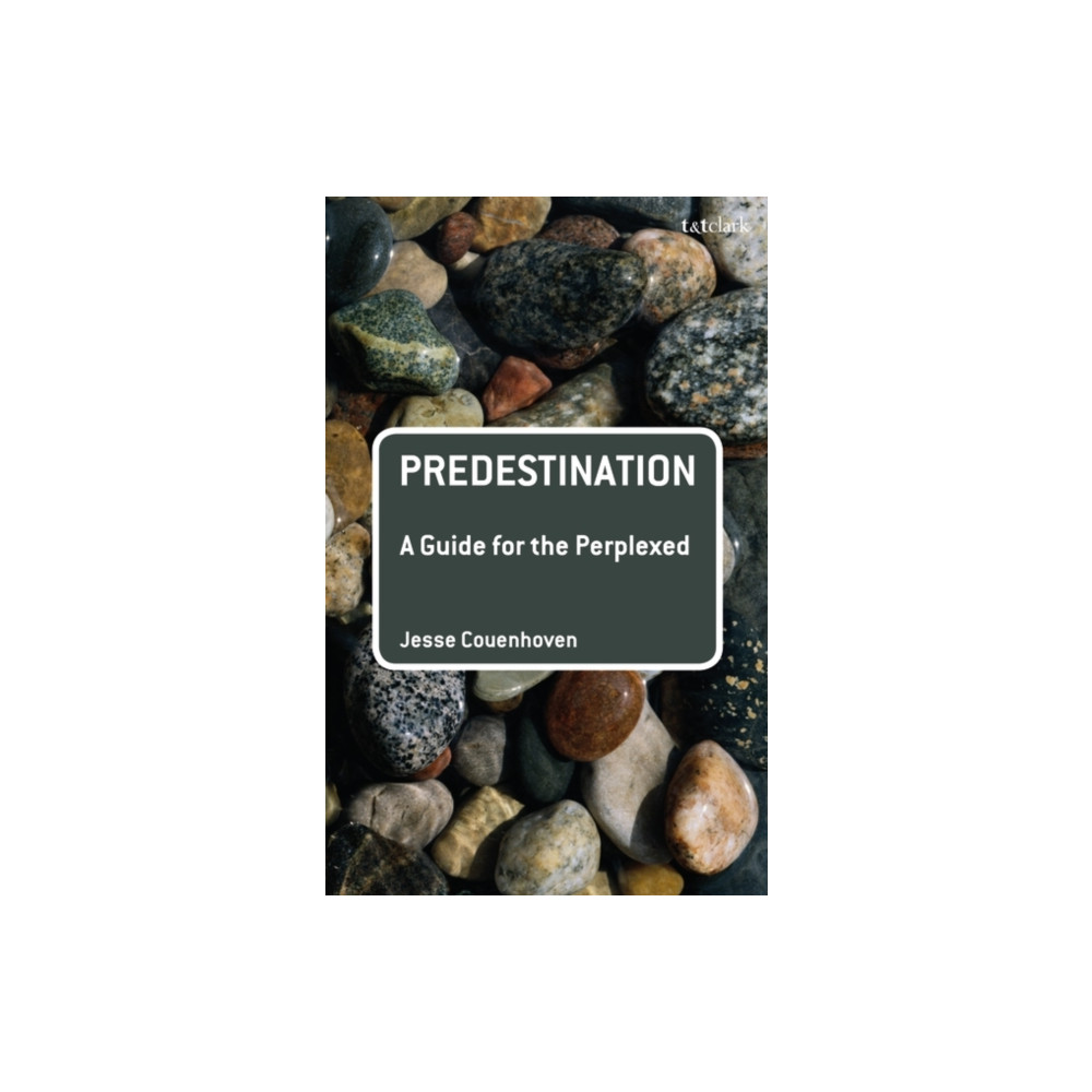 Produktbild för Predestination: A Guide for the Perplexed (häftad, eng)