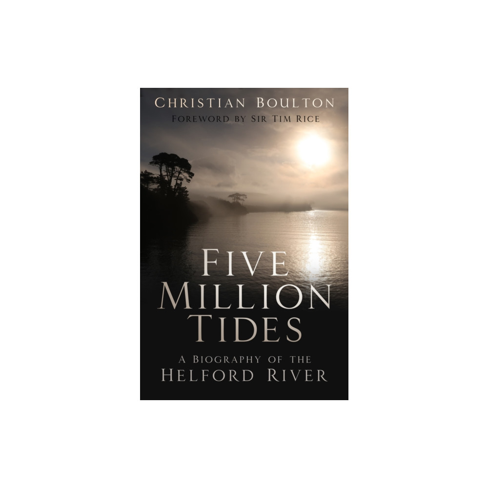 Produktbild för Five Million Tides (häftad, eng)
