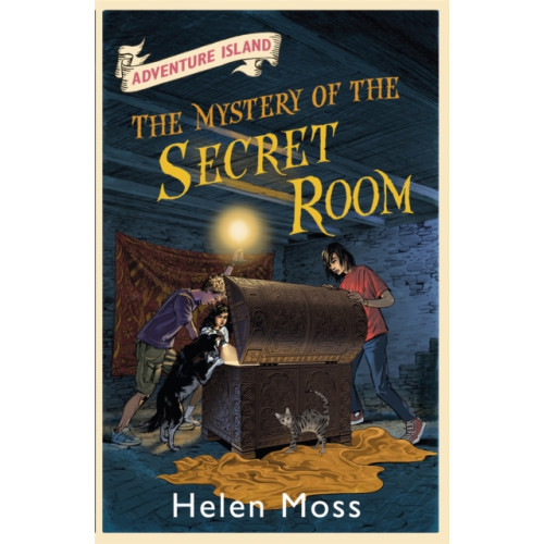 Hachette Children's Group Adventure Island: The Mystery of the Secret Room (häftad, eng)