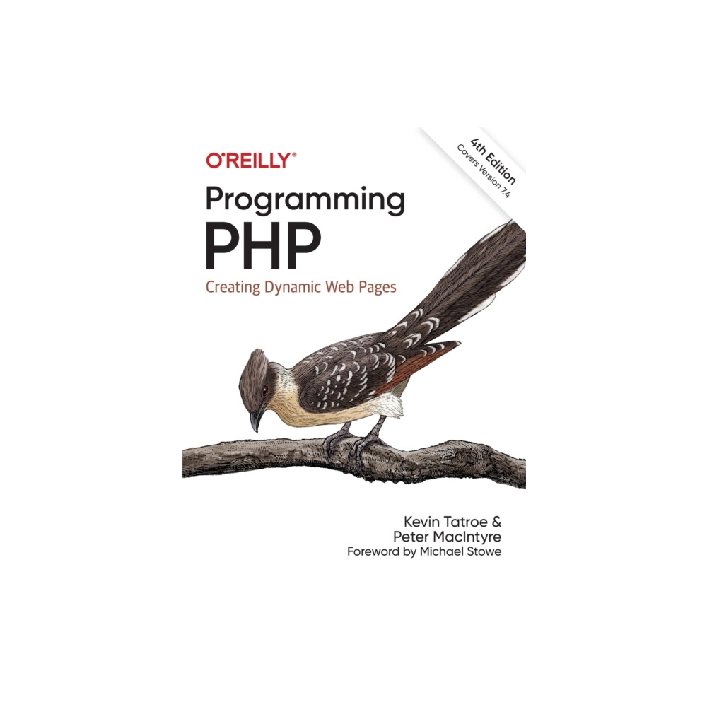 Produktbild för Programming PHP (häftad, eng)