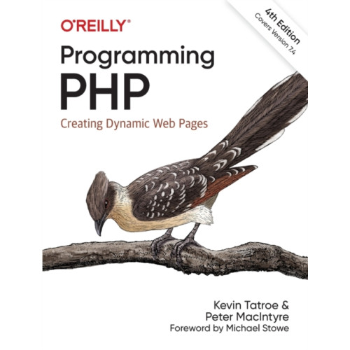 O'Reilly Media Programming PHP (häftad, eng)