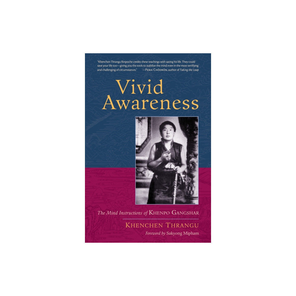Produktbild för Vivid Awareness (häftad, eng)